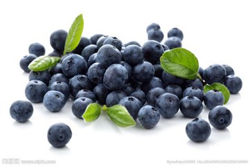 [九鑫健康知识] 野生蓝莓的营养价值